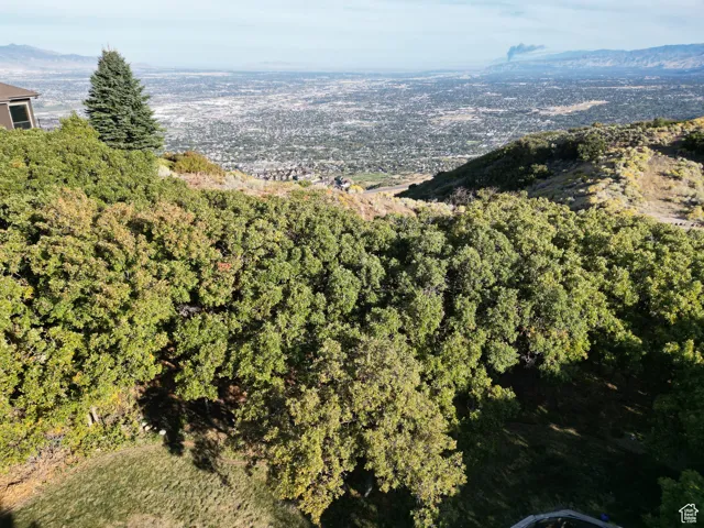 1463 E Meadow Bluff, Draper, Utah 84020