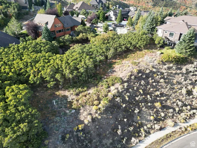 1463 E Meadow Bluff, Draper, Utah 84020