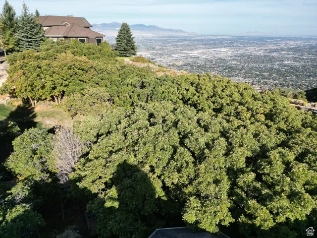 1463 E Meadow Bluff, Draper, Utah 84020