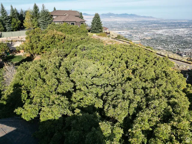 1463 E Meadow Bluff, Draper, Utah 84020