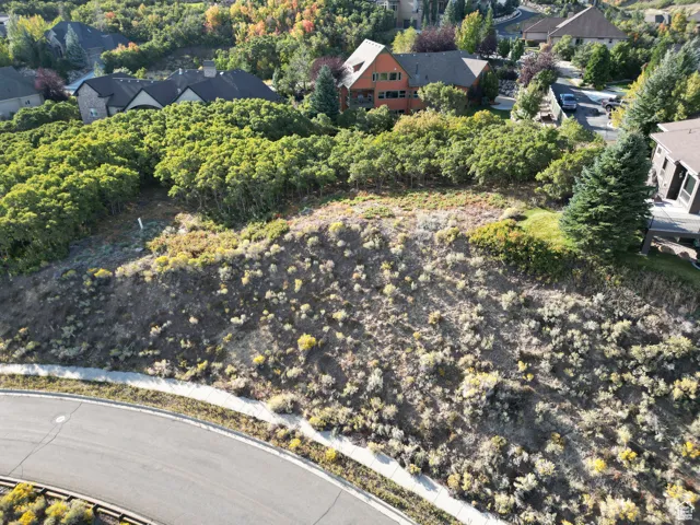 1463 E Meadow Bluff, Draper, Utah 84020