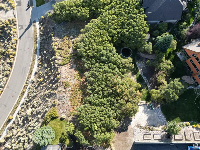 1463 E Meadow Bluff, Draper, Utah 84020