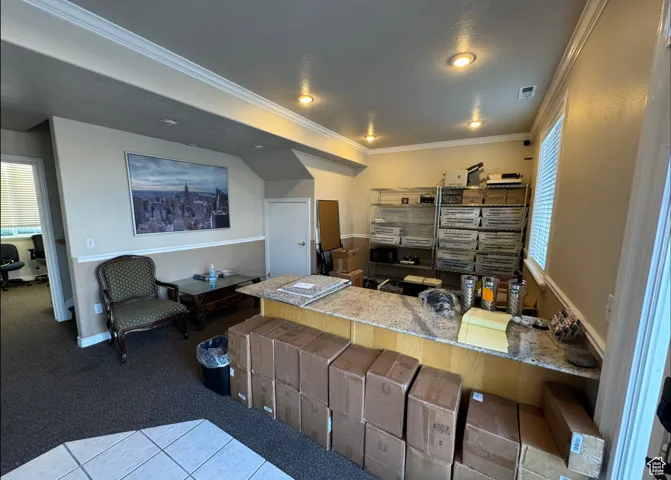 Carpeted living room with crown molding
