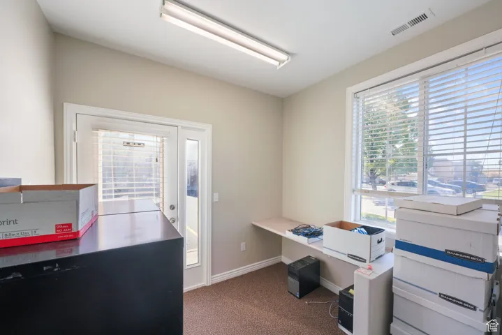 Carpeted office space featuring a wealth of natural light