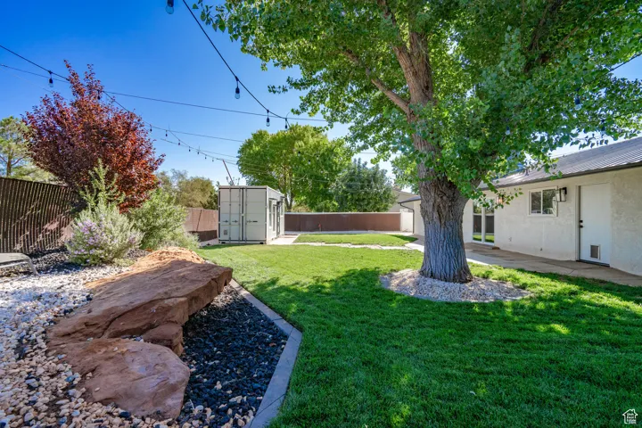 View of yard with a patio and a storage unit