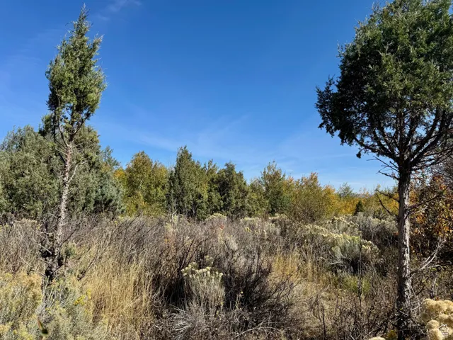 View of landscape