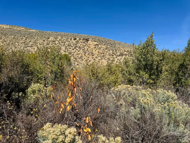 View of mountain feature