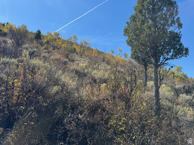 View of nature