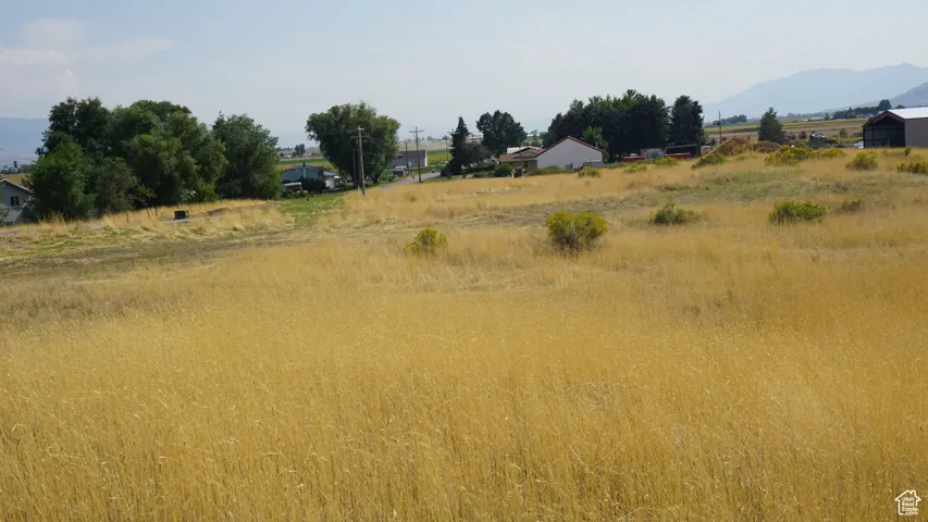 View of local wilderness with rural landscape