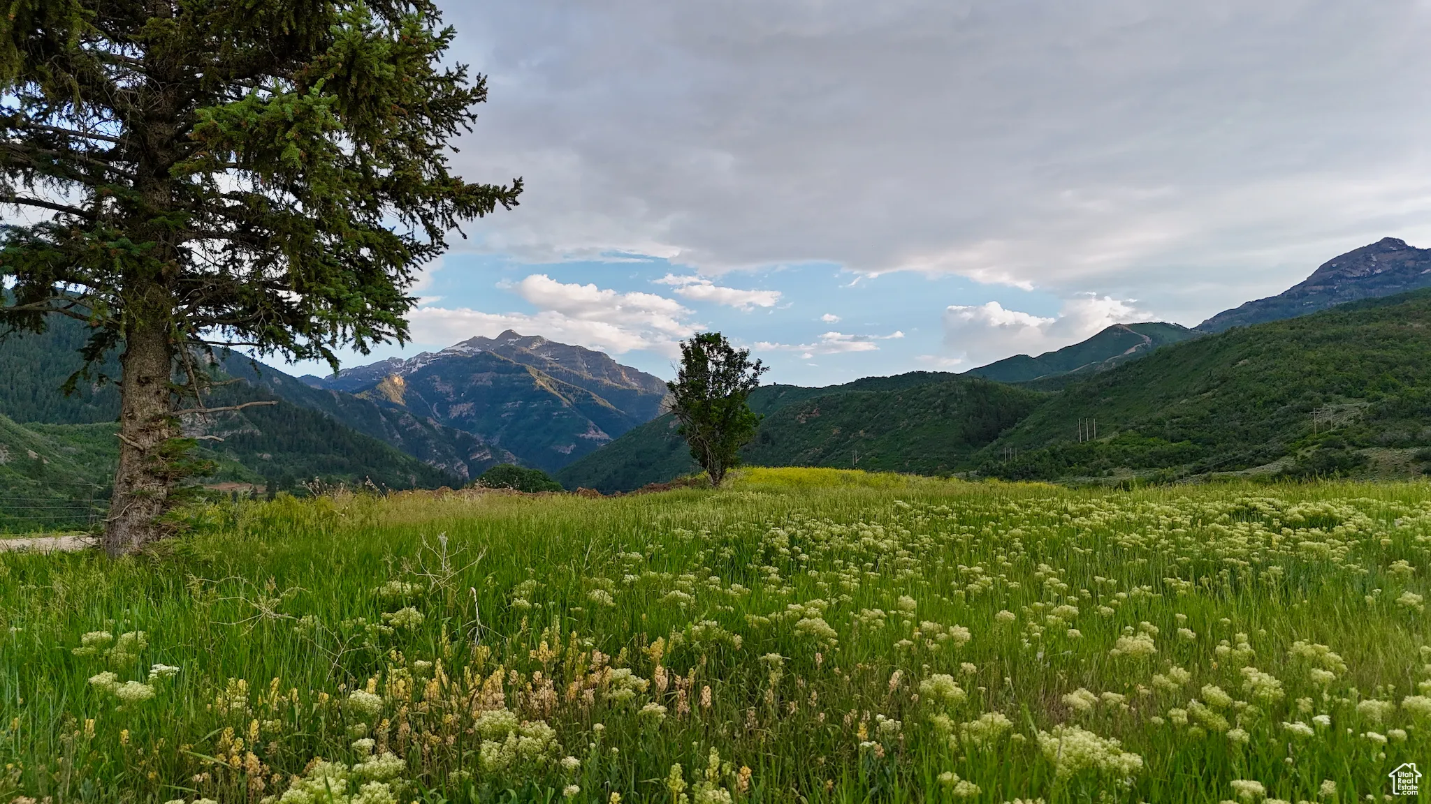 View of mountain background