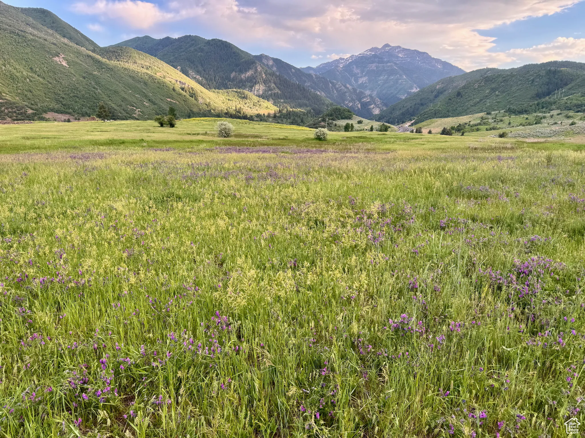 View of mountain background with rural landscape