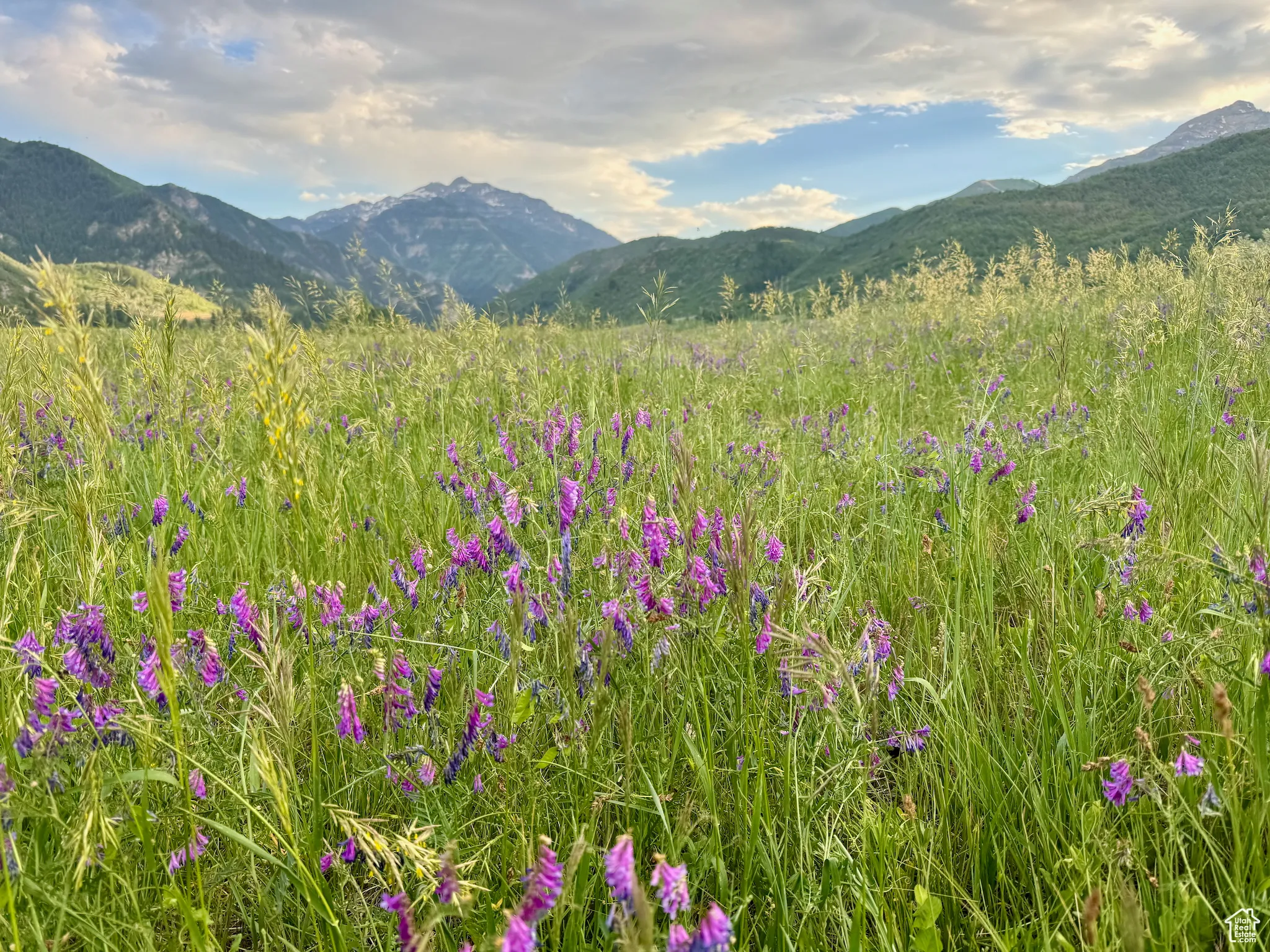 View of mountain backdrop