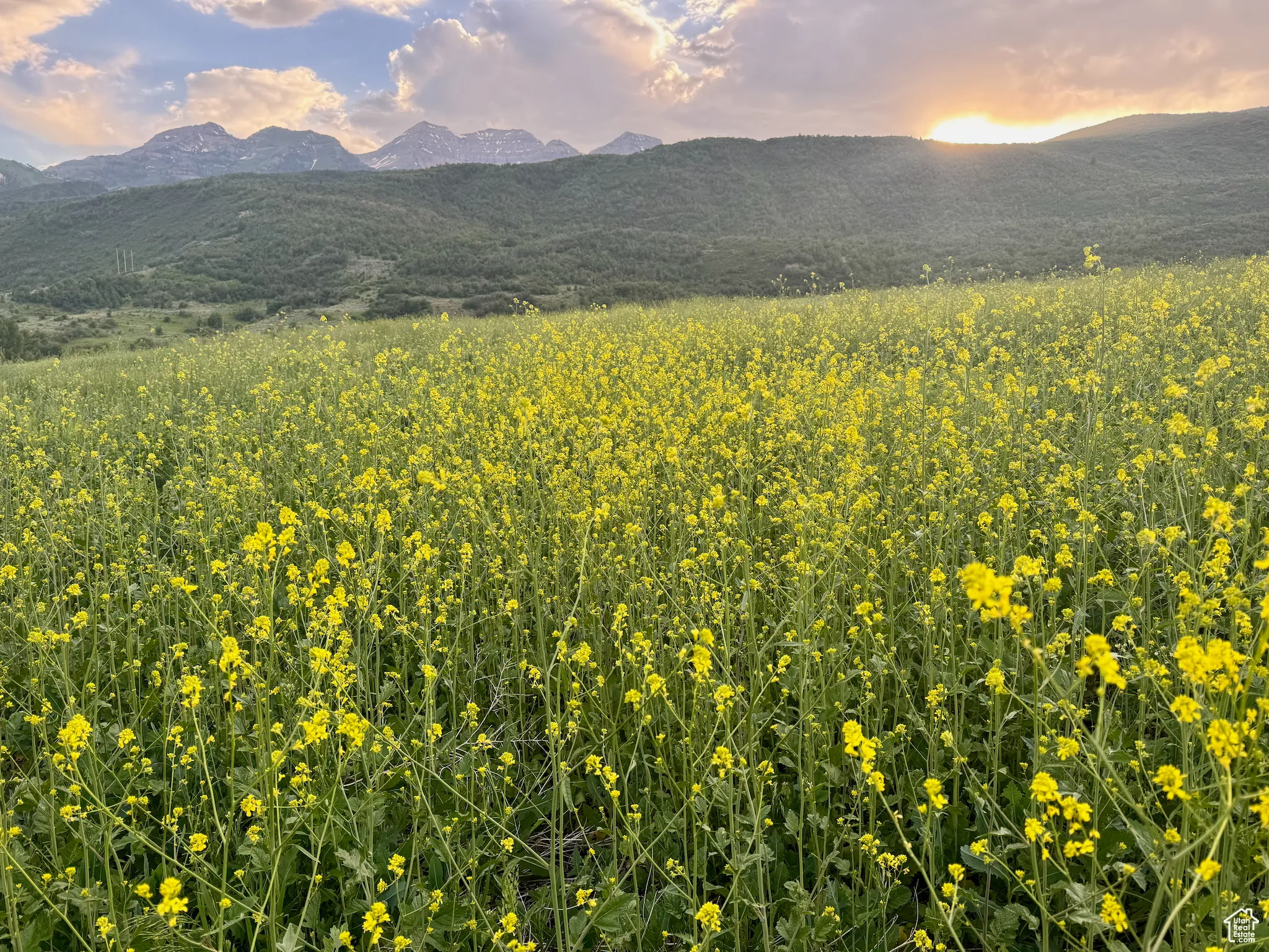 View of mountain backdrop