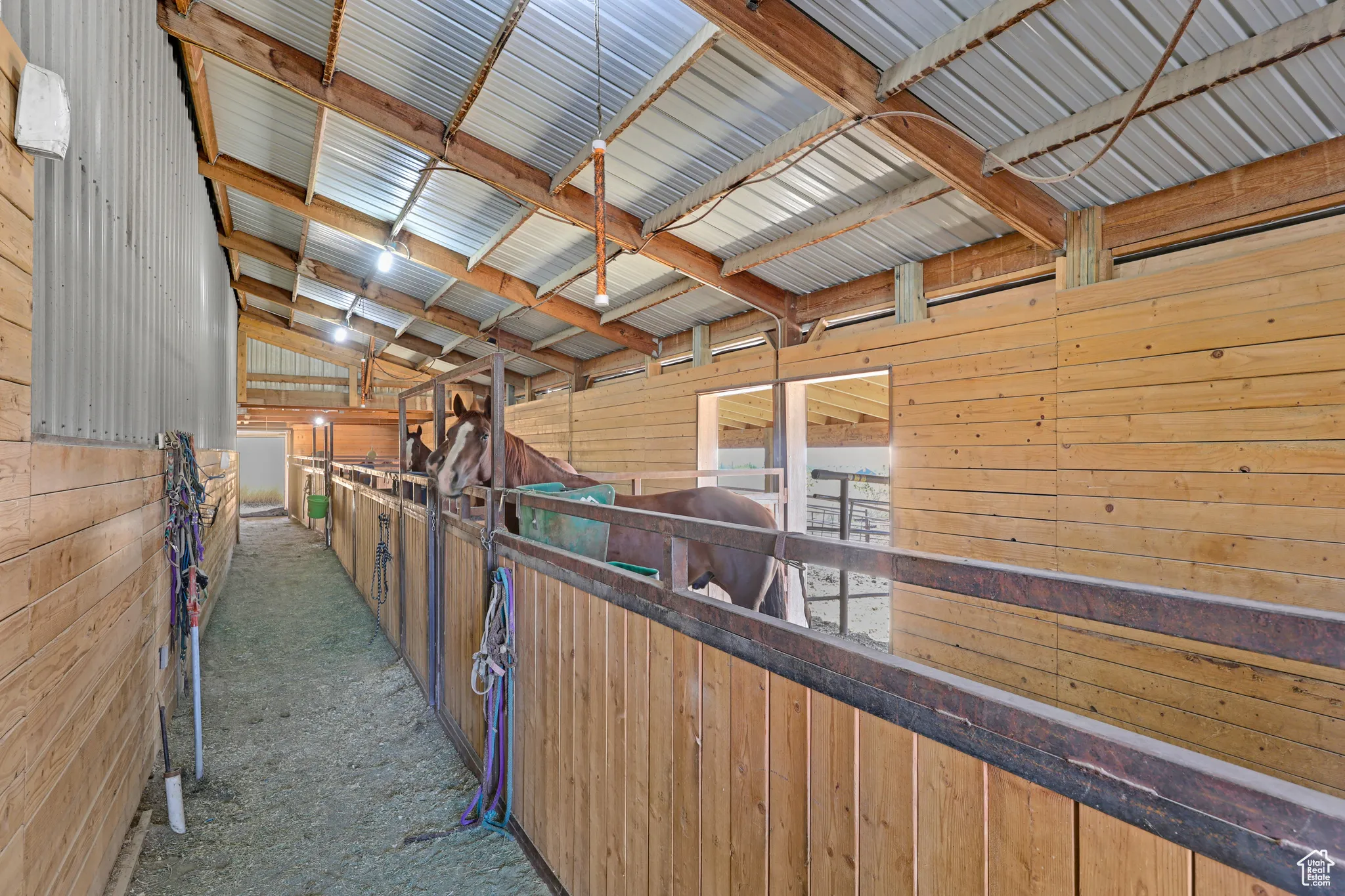 View of horse barn