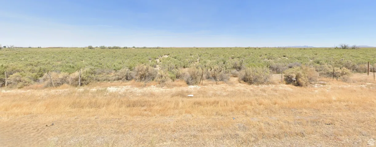 View of local wilderness with a rural view