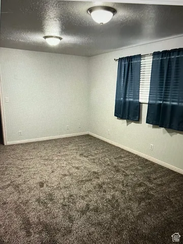 Walk-out basement living room