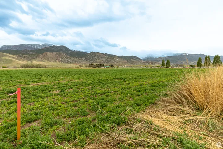 Unit 2, Monroe, Utah 84754