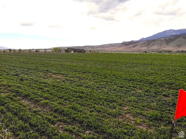 Unit 4, Monroe, Utah 84754