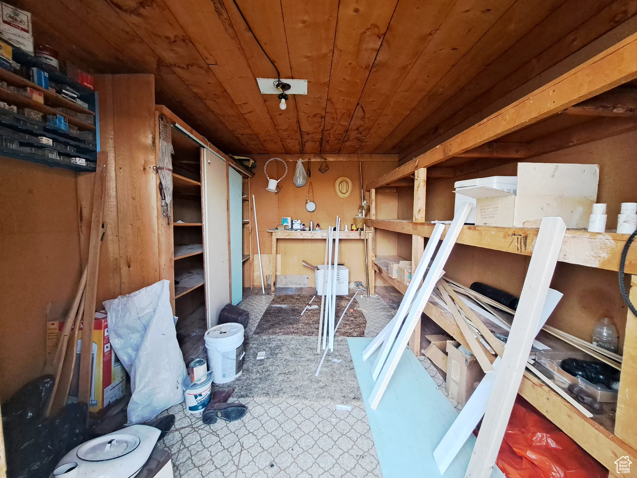 View of Insulated storage Cellar/Outbuilding