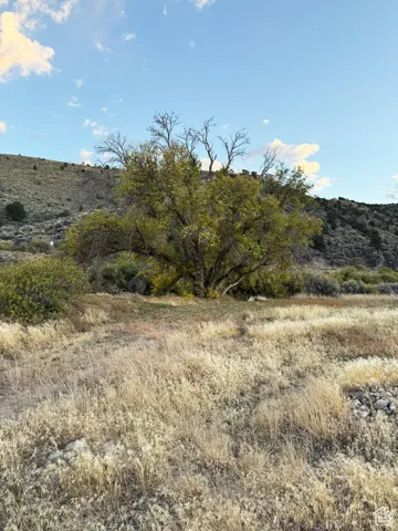 17888 Outlaw South Rd, Panguitch, Utah 84759