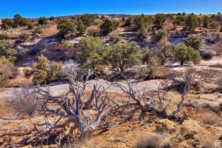 1 Phase 2 Wilson Arch, Moab, Utah 84532