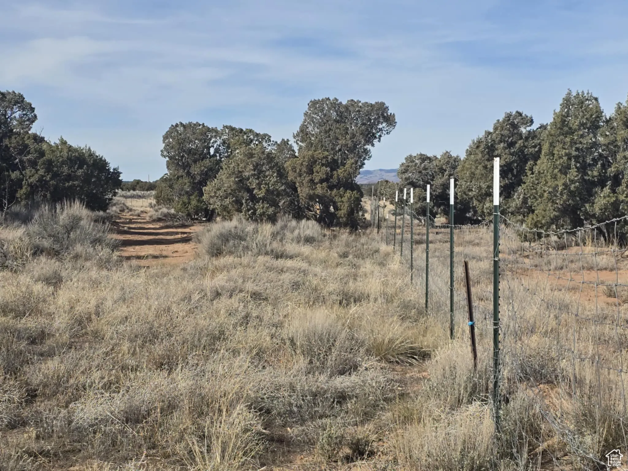 View of north fenced Area