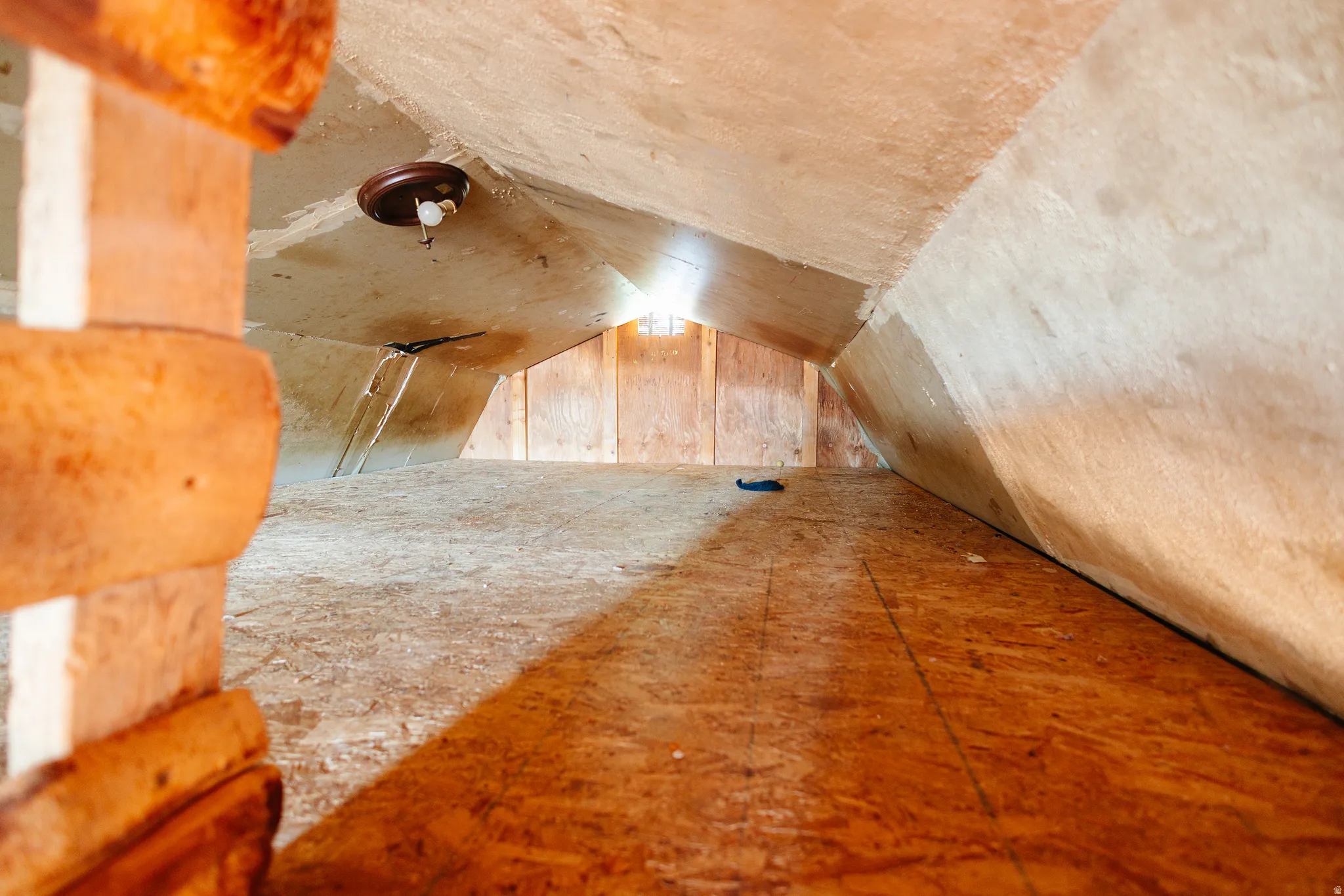 Bonus room with lofted ceiling