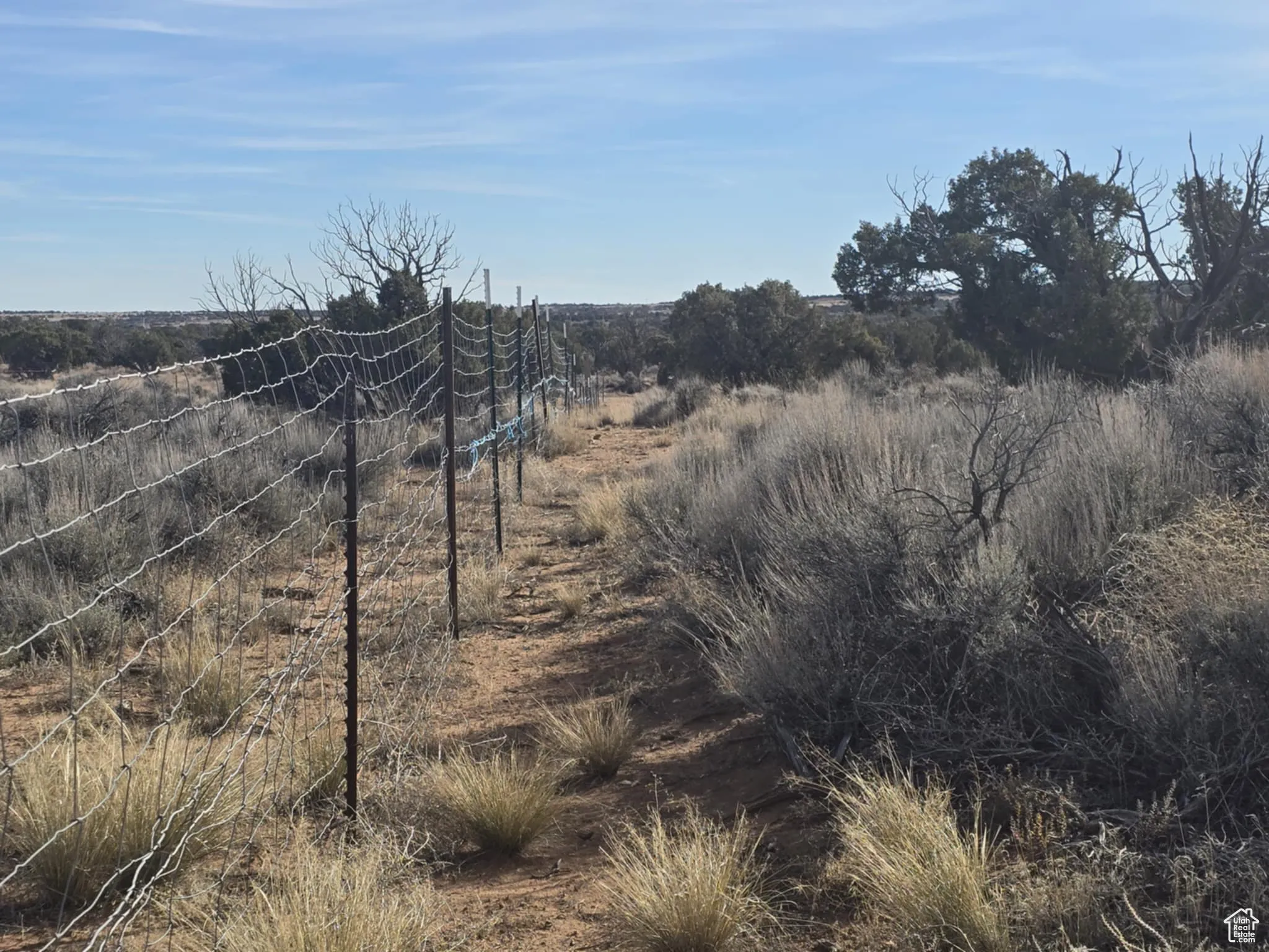 View of North/East fenced Area