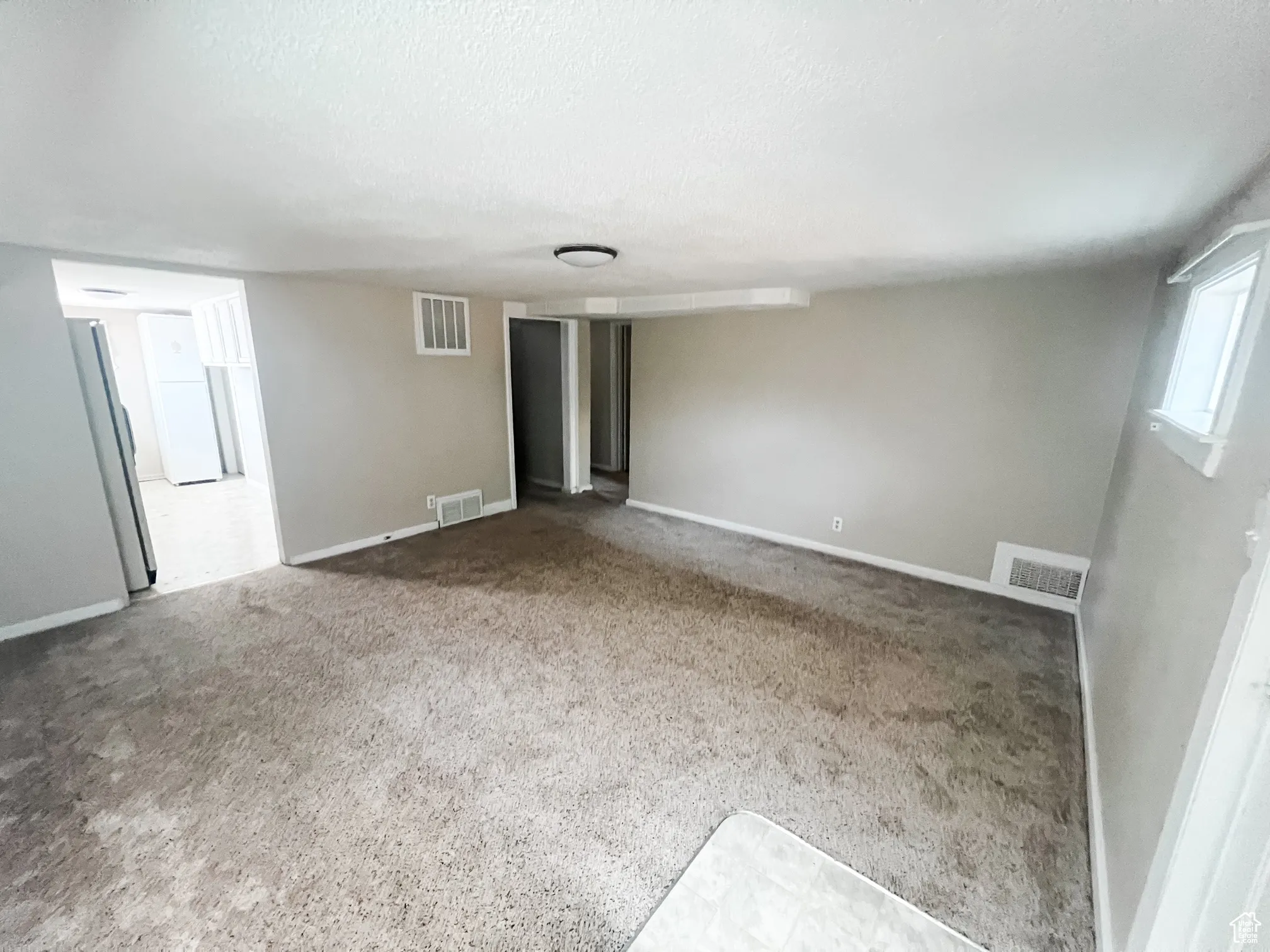 Basement Living Area