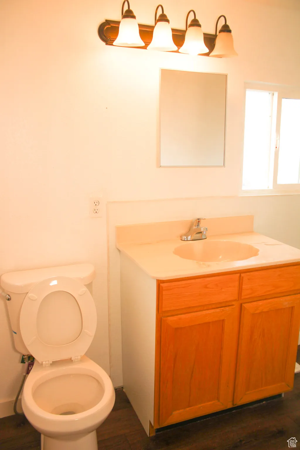 Bathroom with hardwood / wood-style floors, vanity, and toilet