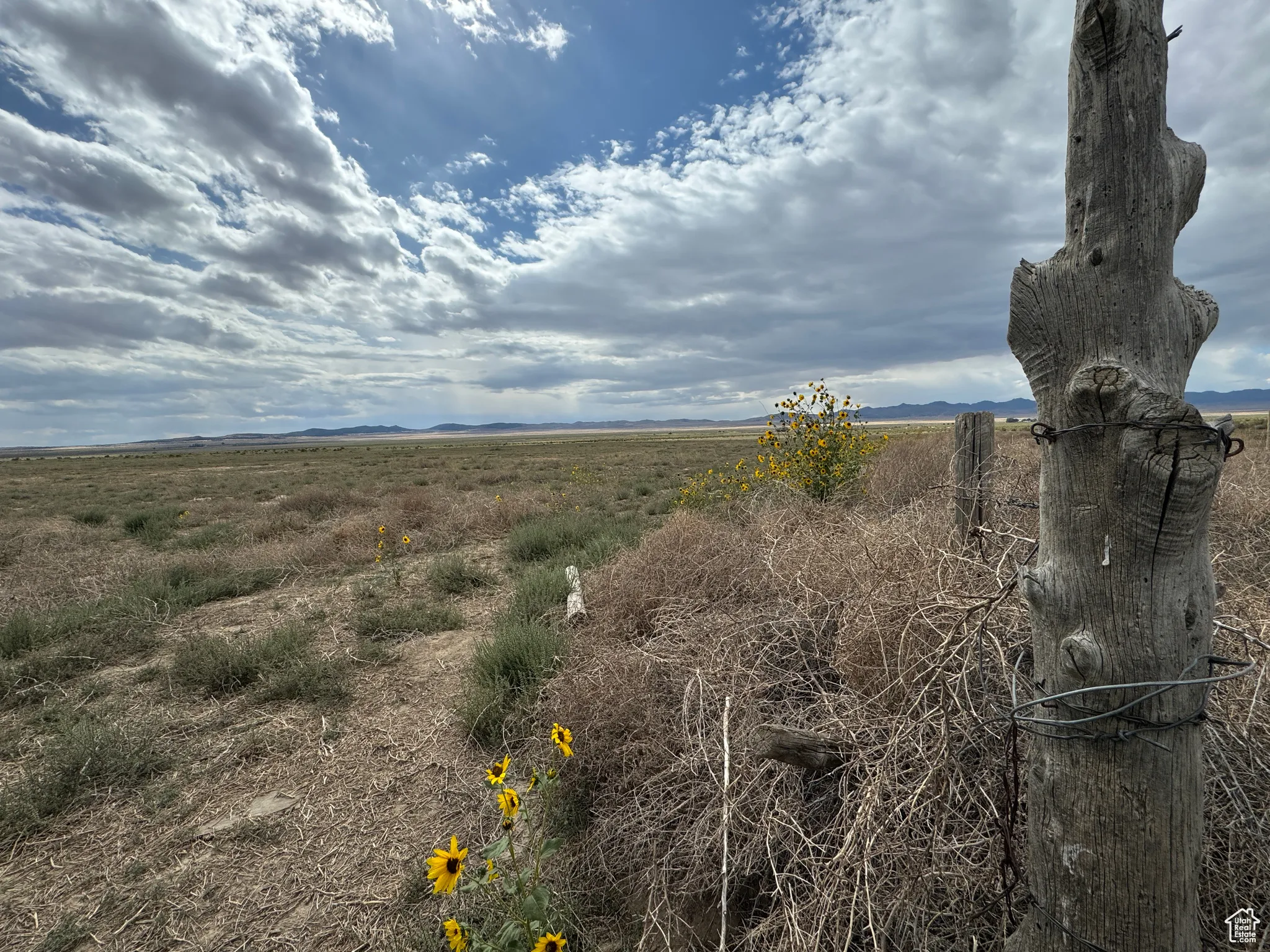 View of nature with a rural view