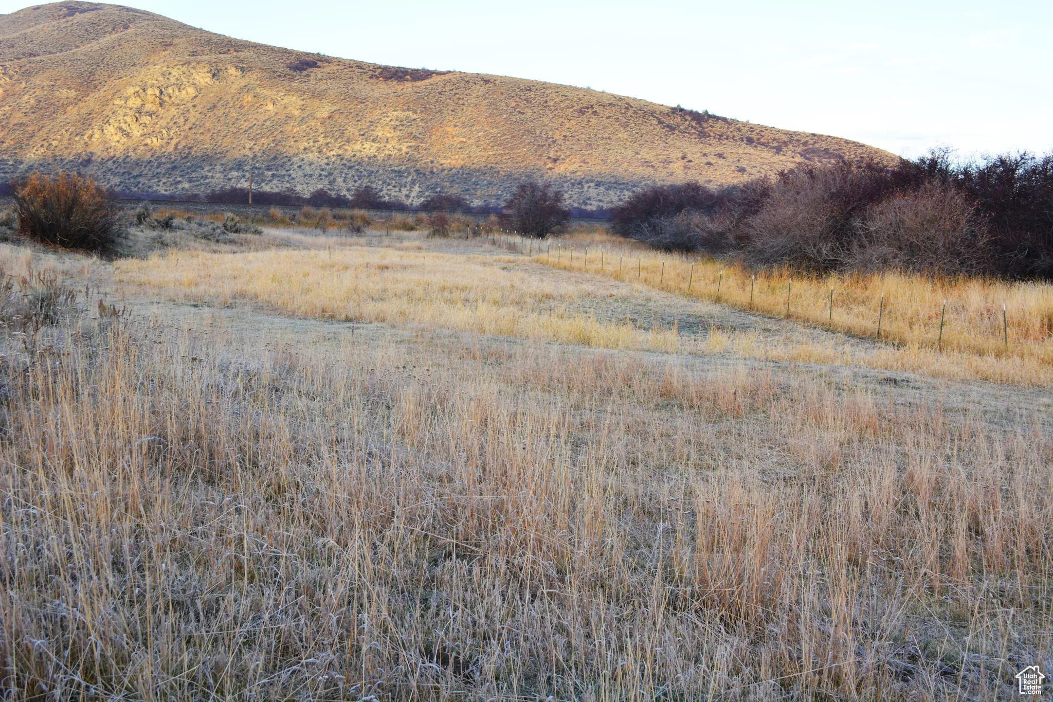 Meadow near the river