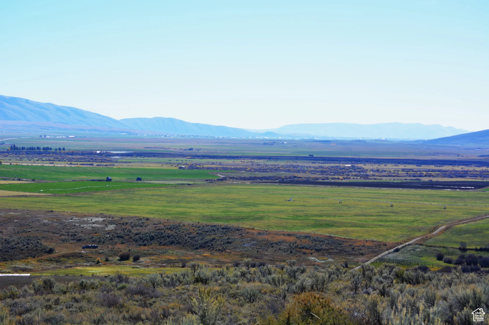 View of one of the alfalfa fields