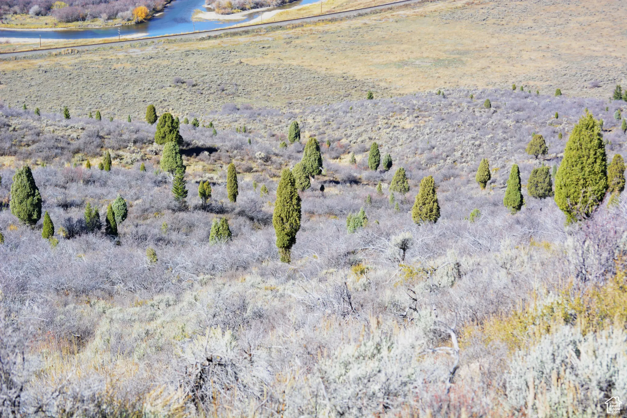 North face of Noveen hill