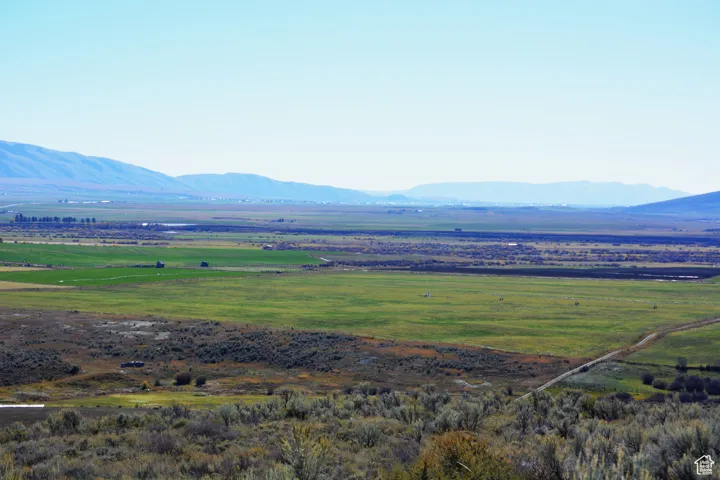 View of one of the alfalfa fields