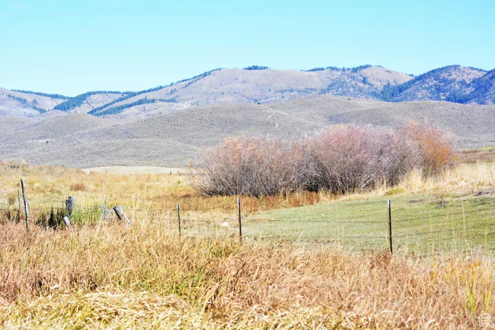 Spring area