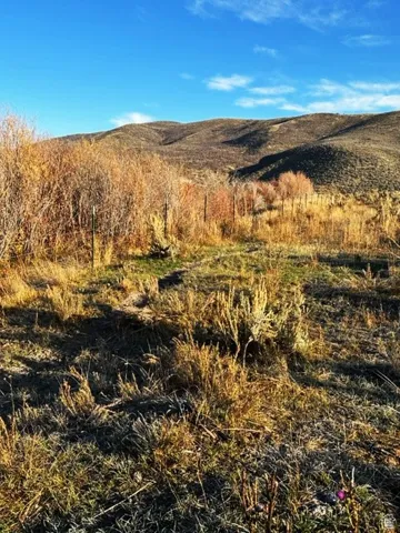 900 W Smit Rd, Georgetown, Idaho 83239