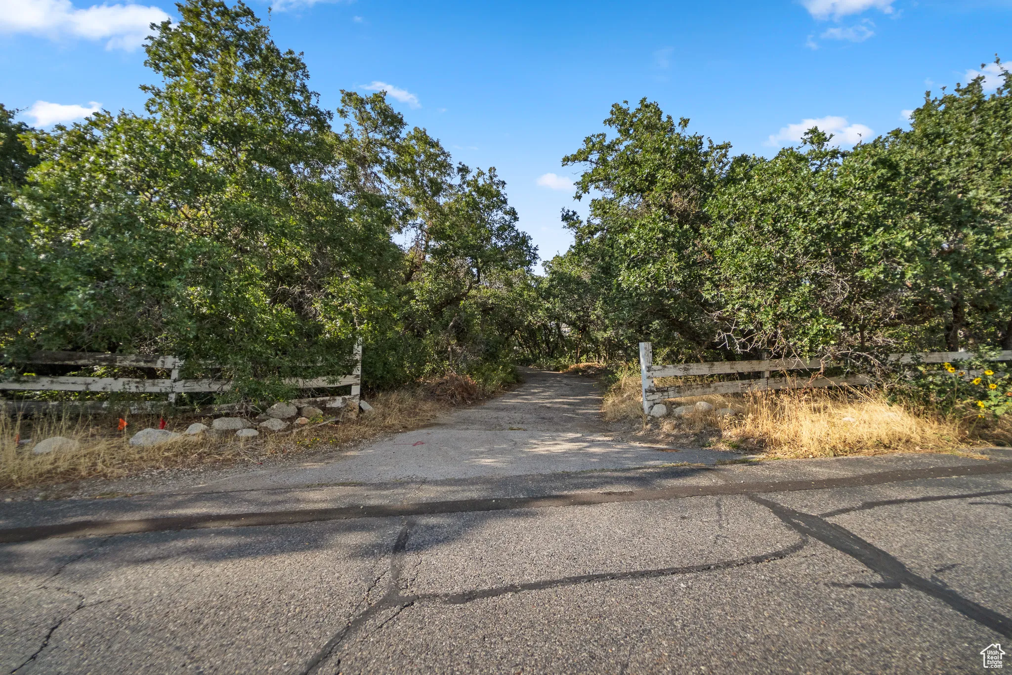 View of road