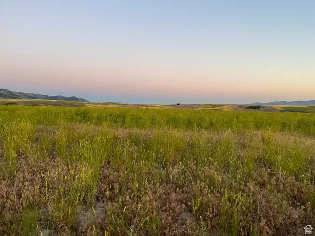 Nature at dusk with a mountain view