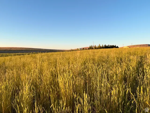 View of nature featuring a rural view