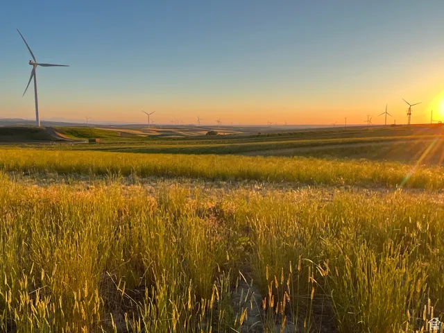 Nature at dusk with a rural view
