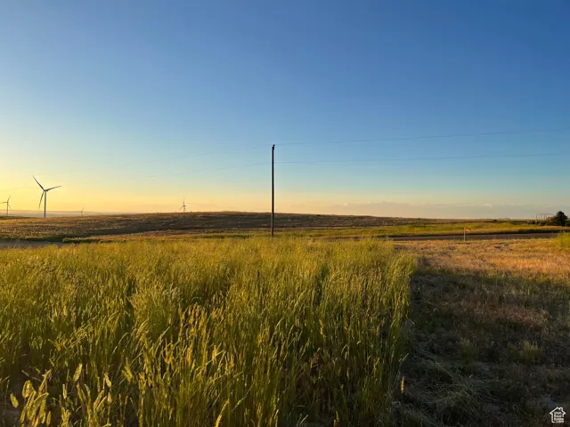 Nature at dusk with a rural view