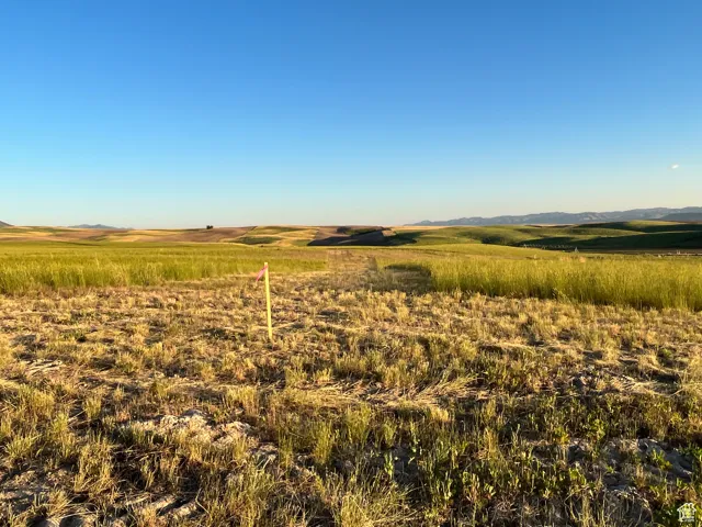 View of local wilderness featuring a rural view