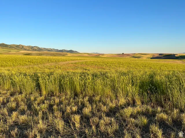 View of local wilderness with a mountain view and a rural view