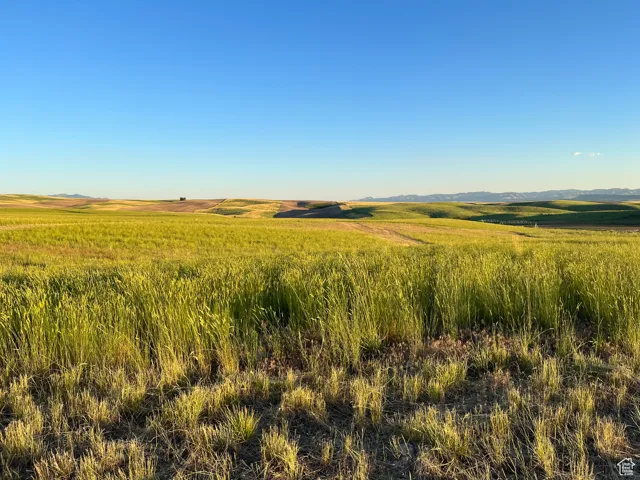 View of nature with a rural view