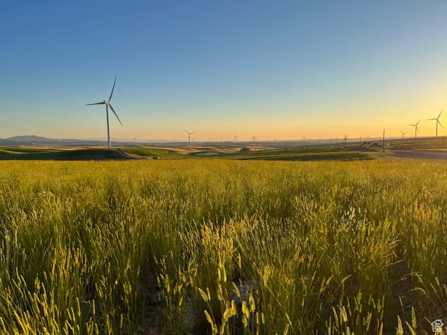 Nature at dusk featuring a rural view