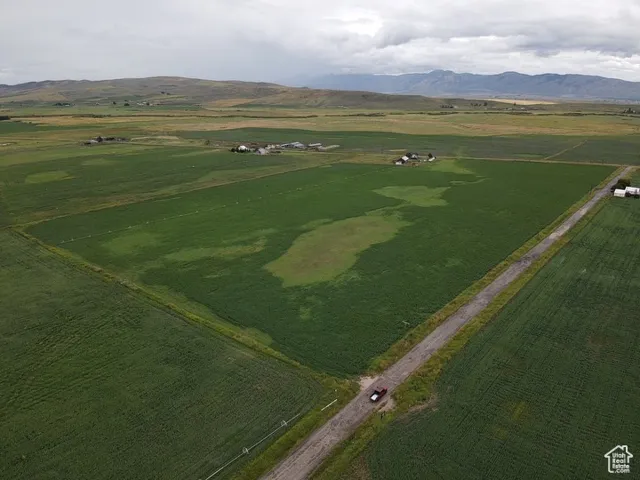 Bird's eye view featuring a mountain view and a rural view