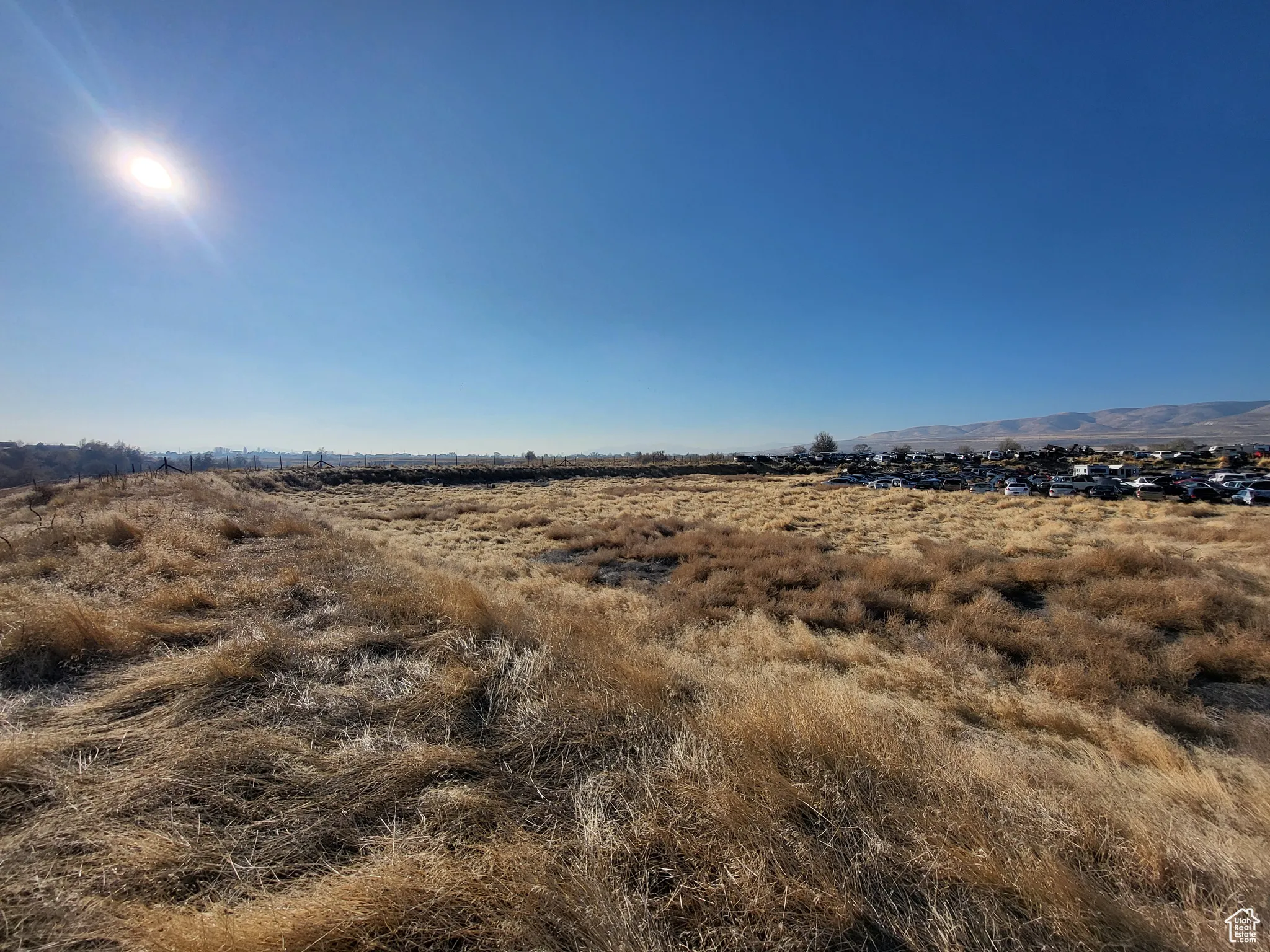 View of local wilderness with a rural view