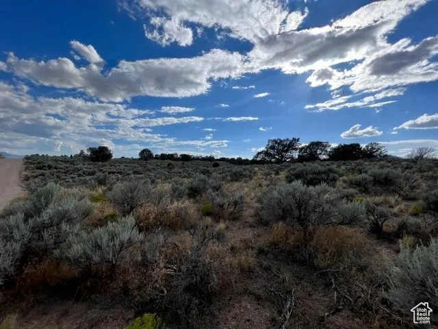View of local wilderness