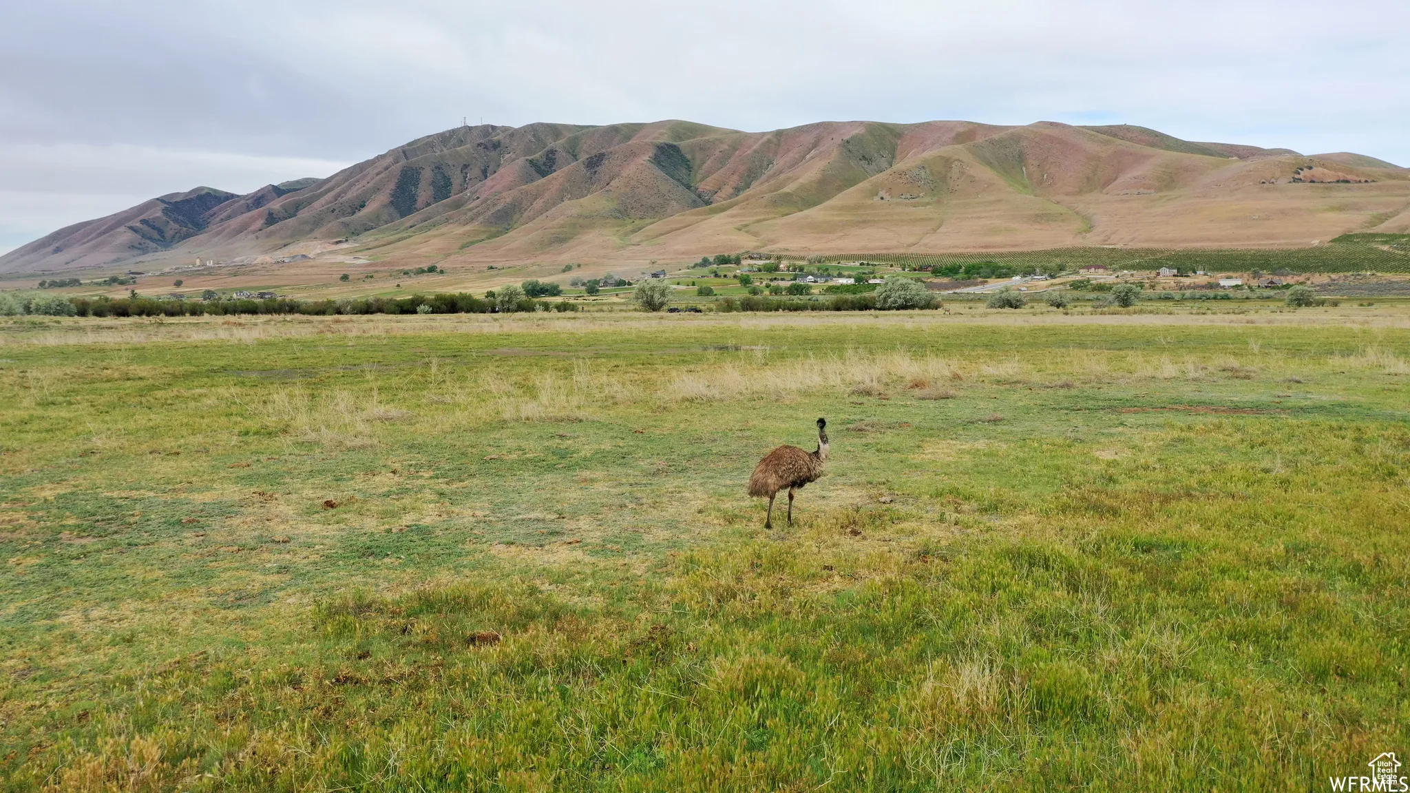 Property view of mountains with a rural view